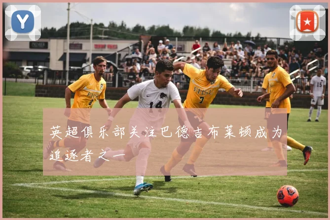 英超俱乐部关注巴德吉布莱顿成为追逐者之一